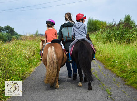 Gezinswandeling met pony of ezel, inclusief drankje en lekkernij
