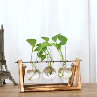 Gezondheid Creatieve Hydrocultuur Plant Transparante Vaas Houten Frame Koffie Winkel Kamer Decr Glazen Fles + Houten Display Frame 1O9