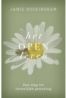 Gideon, Stichting Uitgeverij Het Open Leven - Jamie Buckingham