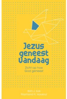 Gideon, Stichting Uitgeverij Jezus geneest vandaag - (ISBN:9789059992009)