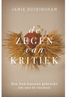 Gideon, Stichting Uitgeverij Zegen Van Kritiek, De - Jamie Buckingham