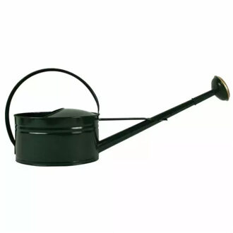 Gieter - metaal - groen - 5 ltr - ovaal - tuingieter - tuinaccessoires