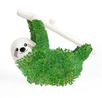 Gift Republic Plantenpot met chiazaden - Luiaard