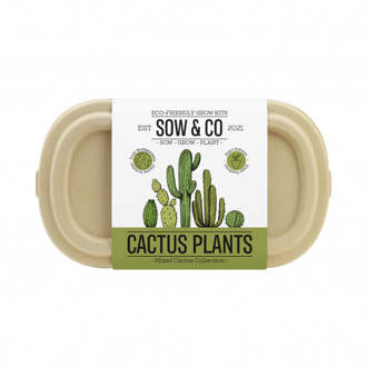 Gift Republic Sow & Co Kweekset - Cactusplanten