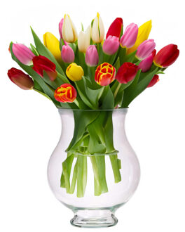 Giftdecor Bloemenvaas Artistica - luxe deco glas - helder transparant - D21 x H28 cm - sierlijk vaas