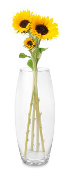Giftdecor Bloemenvaas basic - transparant glas - D16 x H37 cm - cilinder vaas - boeketvaas - 5 liter