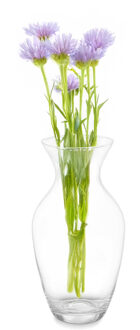 Giftdecor Bloemenvaas klassiek - transparant glas - D16 x H30 cm - klassiek model - boeketvaas - 5 liter