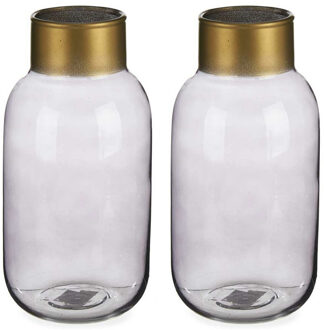 Giftdecor Bloemenvazen 2x stuks - luxe decoratie glas - grijs/goud - 12 x 24 cm - Vazen Transparant