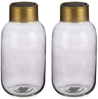 Giftdecor Bloemenvazen 2x stuks - luxe decoratie glas - grijs/goud - 12 x 24 cm