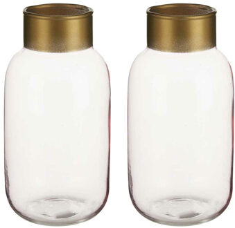 Giftdecor Bloemenvazen 2x stuks - luxe decoratie glas - roze/goud - 12 x 24 cm