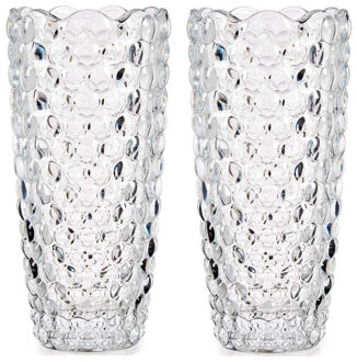 Giftdecor Set van 2x stuks bloemenvazen bubbels relief 8 x 19,5 cm van glas