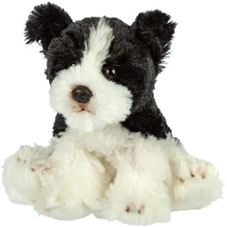 Gifts Pluche knuffeldier hond - Border Collie - zwart/wit - 13 cm - huisdieren thema - Knuffel huisdieren