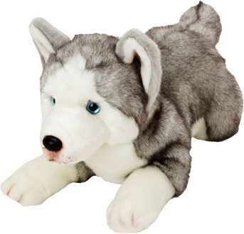 Gifts pluche knuffeldier hond - Husky - 34 cm - Honden knuffels - Knuffel huisdieren Multikleur