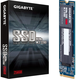 Gigabyte GP-GSM2NE3256GNTD internal solid state drive M.2 256 GB PCI Express 3.0 NVMe