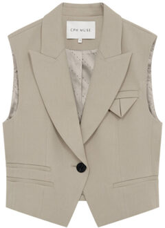 Gilet 207270 cmtailor Groen - L