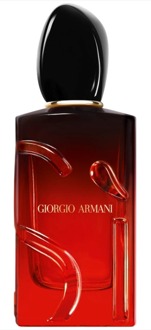 Giorgio Armani Eau de Parfum Giorgio Armani Arm Si Passione Int Edp 100 ml