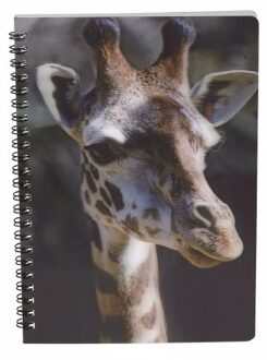 Giraffe schrift 3D 21cm Multi