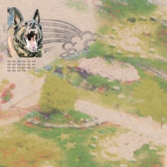 Girl With Fish - Feeble Little Horse