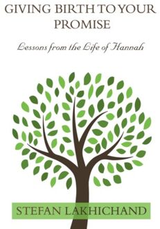 Giving Birth To Your Promise - Stefan Lakhichand