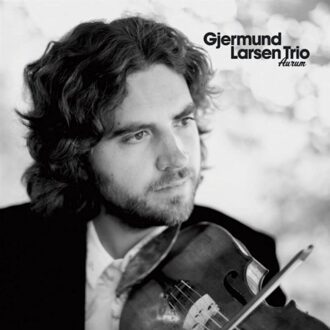Gjermund Trio Larsen - Aurum