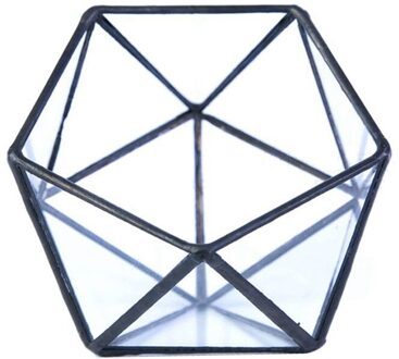 Glas Terrarium Opbergdoos Sieraden Houder, Glas Geometrische Terrarium Tafelblad Vetplant Box Planter Houder Case
