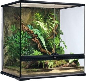 Glas Terrarium - Zwart - 60 x 45 x 60 cm