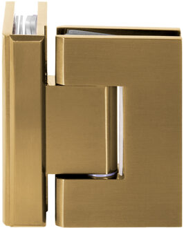 Glasscharnier 90 graden 2 stuks PVD goud geborsteld