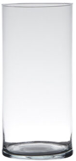 Glazen bloemen cilinder vaas/vazen 25 x 12 cm transparant - Vazen