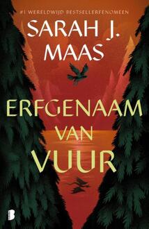 Glazen Troon 3 - Erfgenaam van vuur -  Sarah J. Maas (ISBN: 9789049206291)
