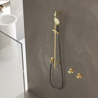 Glijstangset Hotbath Cobber Met Wandaansluitbocht En Handdouche Geborsteld Koper Living Colours