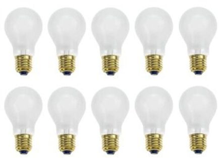 Gloeilamp | Grote fitting E27 | Standaardlamp | Mat | 65mm | 200W