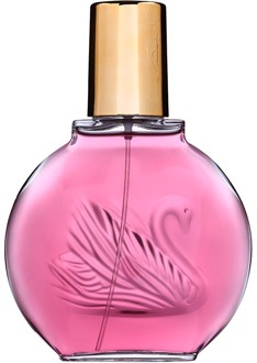 Gloria Vanderbilt Gloria Vd Bilt Minuit A New York eau de parfum - 100 ml - 000
