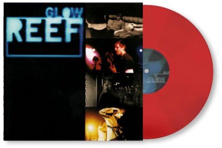 Glow - Reef