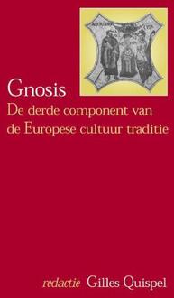 Gnosis - Boek Vrije Uitgevers, De (9067322903)