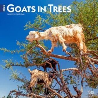 Goats In Trees 2025 12 X 24 Inch Monthly Square Wall Calendar Plastic-Free - Browntrout