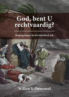 God, bent U rechtvaardig? -  Willem J. Ouweneel (ISBN: 9789059992962)