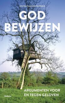 God bewijzen - eBook Rik Peels (9460037259)