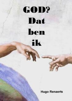 God? Dat ben ik - Boek Hugo Renaerts (9402132465)