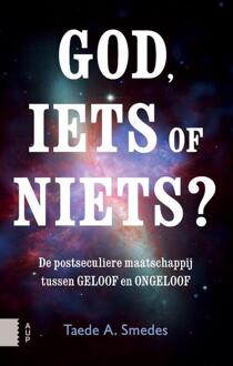 God, iets of niets? - Boek Taede A. Smedes (9462983135)