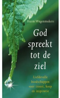 God spreekt tot de ziel - Boek Harm Wagenmakers (9020209779)