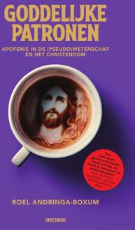 Goddelijke patronen -  Roel Andringa-Boxum (ISBN: 9789000395071)