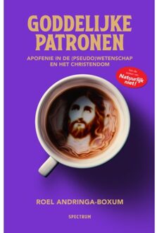 Goddelijke Patronen - Roel Andringa-Boxum