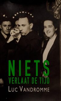 Godijn Publishing Niets verlaat de tijd - Luc Vandromme - ebook