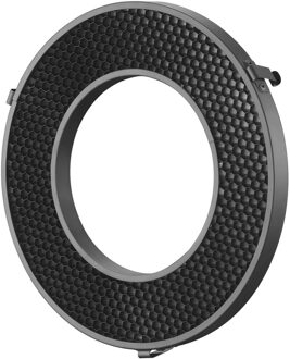 Godox Honey Comb Grid 30 For R200
