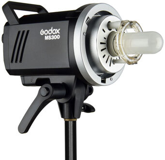 Godox MS300-F 2-Monolight Kit