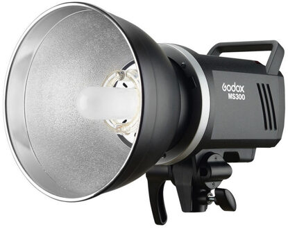 Godox MS300 umbrella kit
