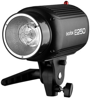 Godox Studio Kit E250-D
