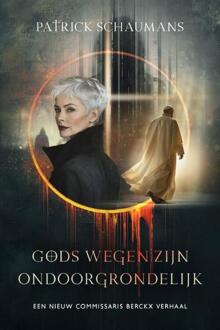 Gods wegen zijn ondoorgrondelijk - Patrick Schaumans (ISBN: 9789493381513)