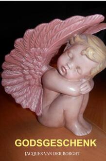 Godsgeschenk -  Jacques van der Borght (ISBN: 9789464928921)