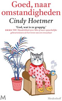 Goed, naar omstandigheden - Cindy Hoetmer - ebook